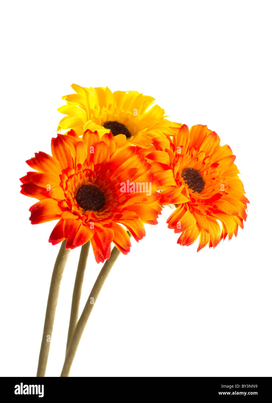 Three artificial flowers Stock Photo Alamy