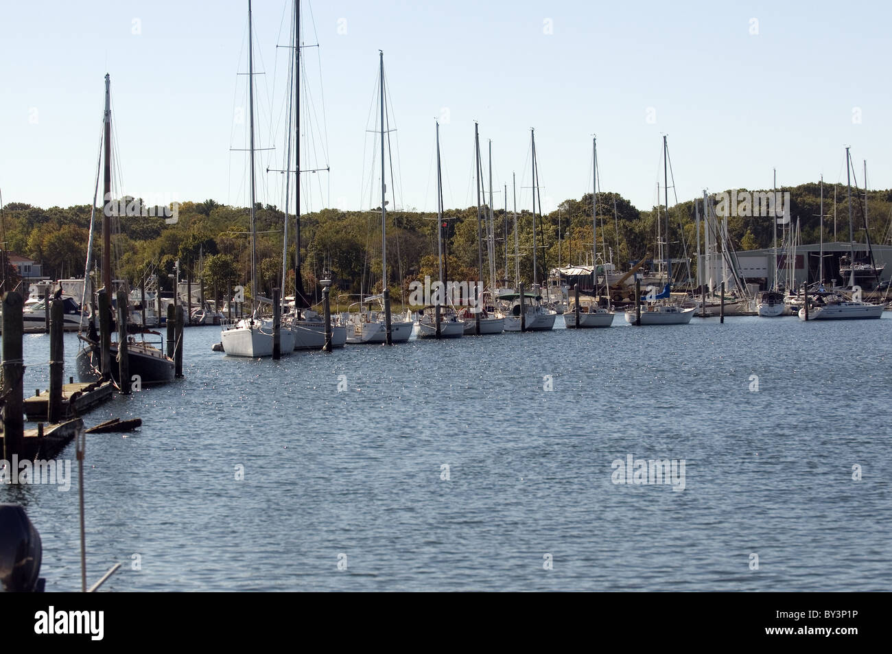 Sailboats lined up at anchor at harbor in Narragansett Rhode Island
