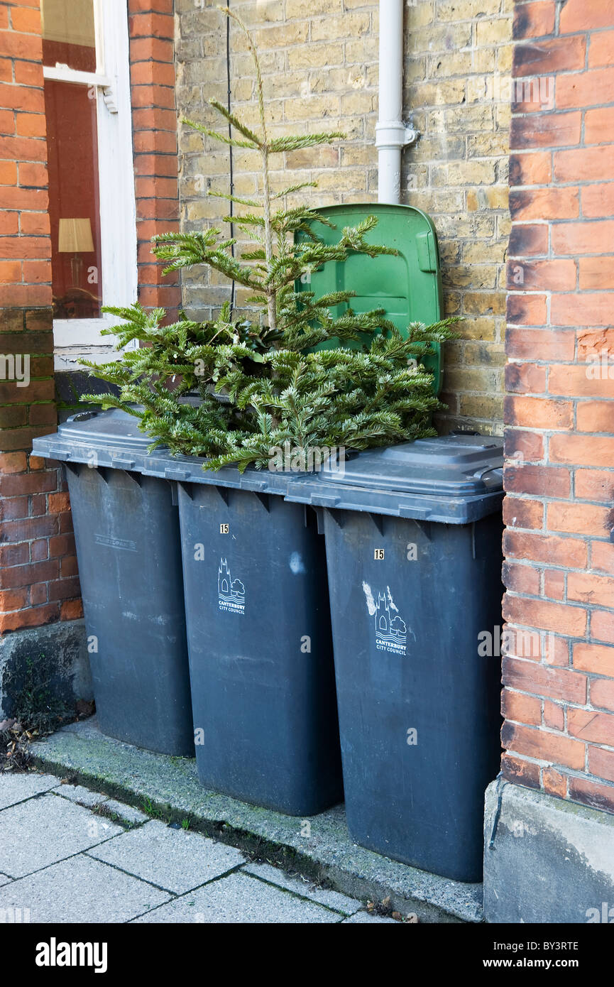 discarded Christmas Tree rubbish trash thrown away Stock Photo Alamy