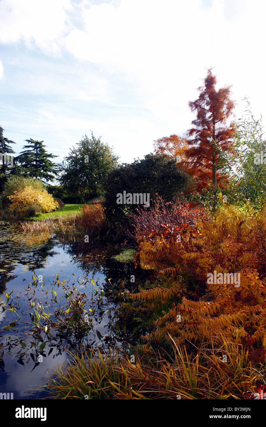 AUTUMN SHRUBS AROUND A GARDEN POND. RHS HYDE HALL ESSEX. UK Stock Photo