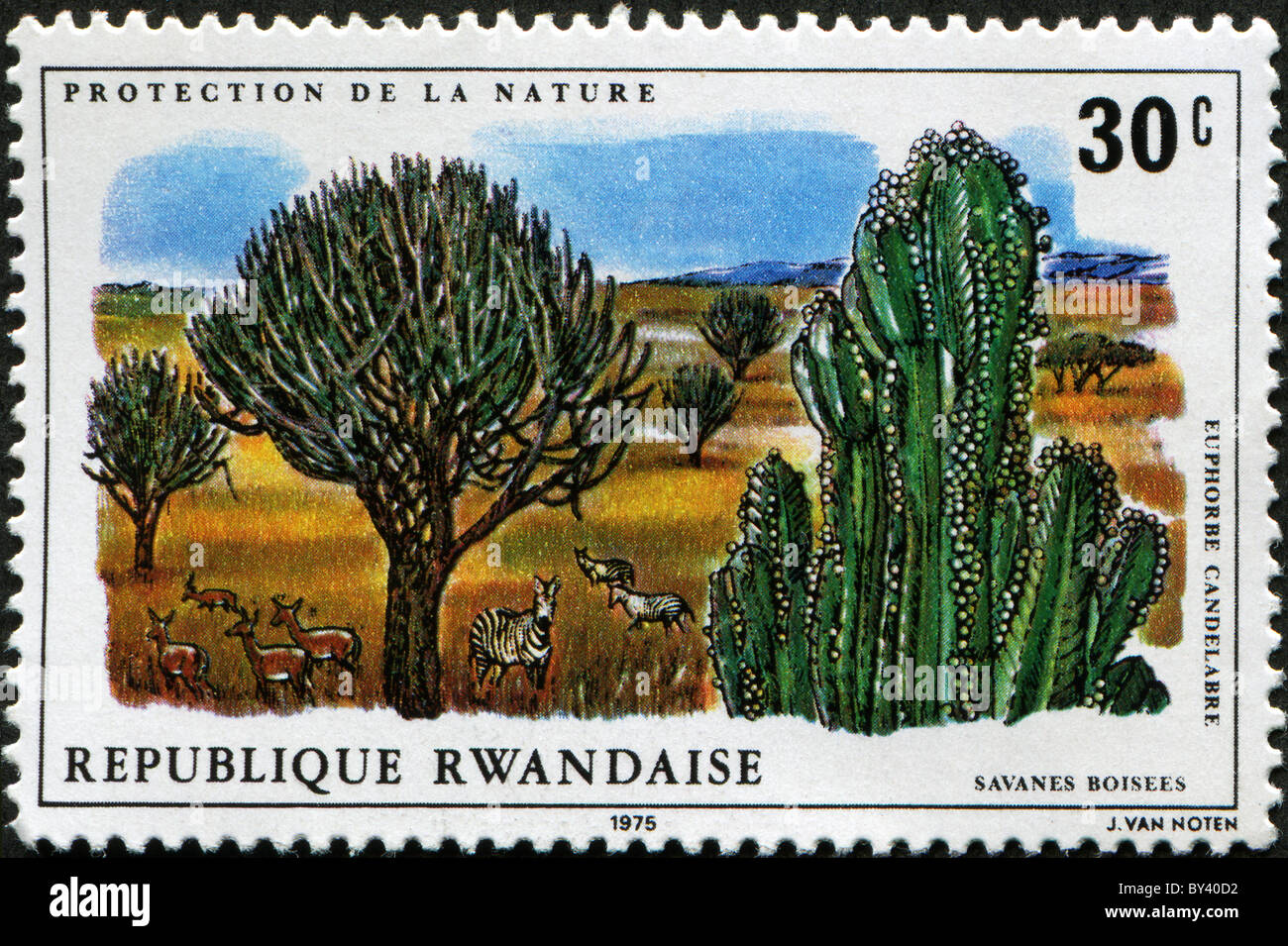 Protection Of Nature Shows Fauna Of The African Savanna Stock