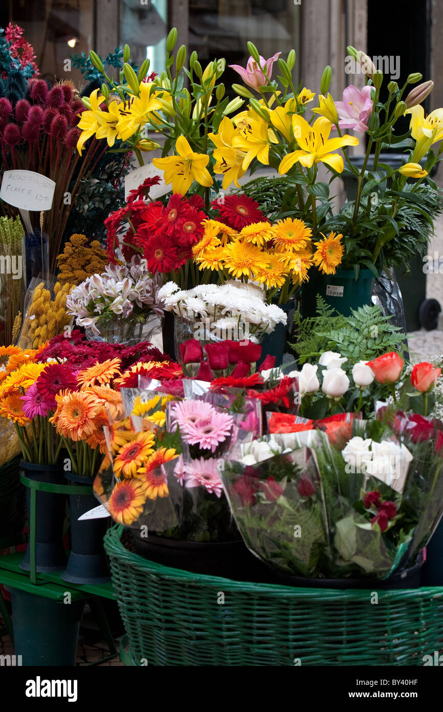 Flowers for sale. Street vendor Lisbon Stock Photo Alamy