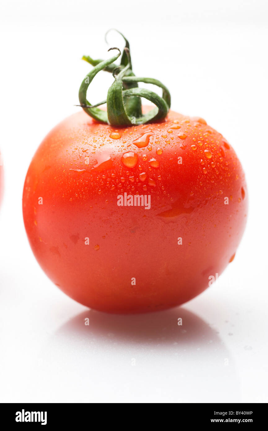 whole tomato on white Background Stock Photo