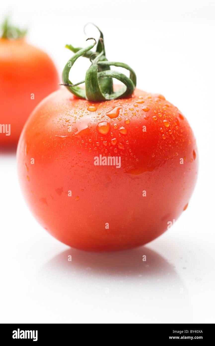 whole tomato on white Background Stock Photo