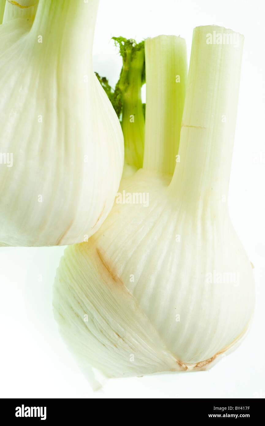 Fennel bulb, On white Background Stock Photo Alamy