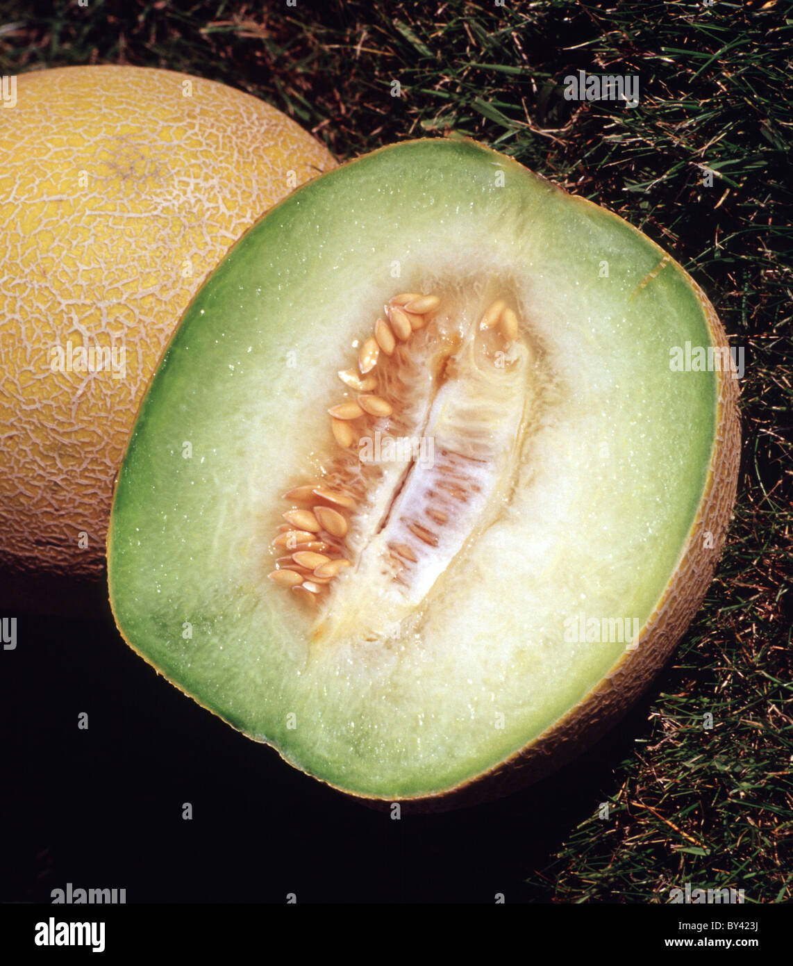 Melon hi-res stock photography and images - Alamy