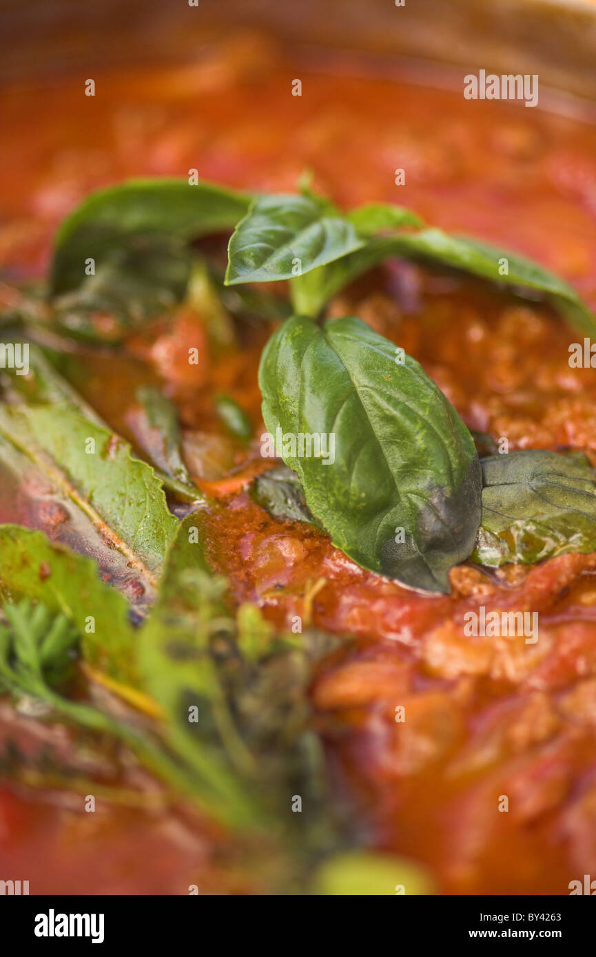Basil leaves in bolognese sauce Stock Photo Alamy