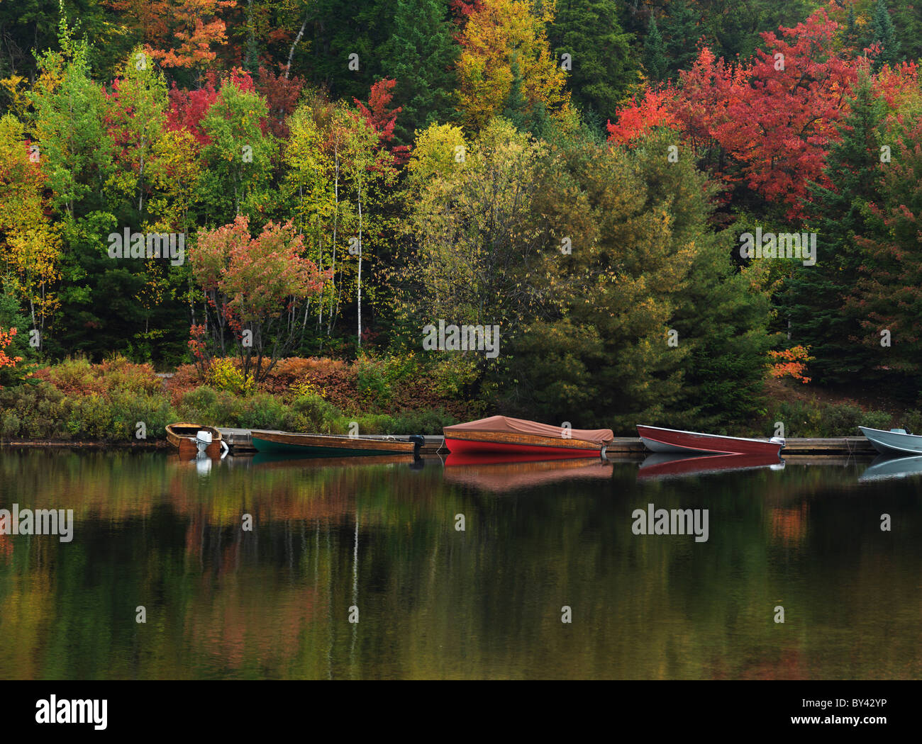 Docked boats at Canoe lake. Fall nature scenery. Algonquin Provincial Park, Ontario, Canada. Stock Photo