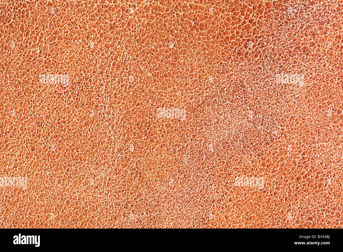 Image texture of brown skin. Stock Photo