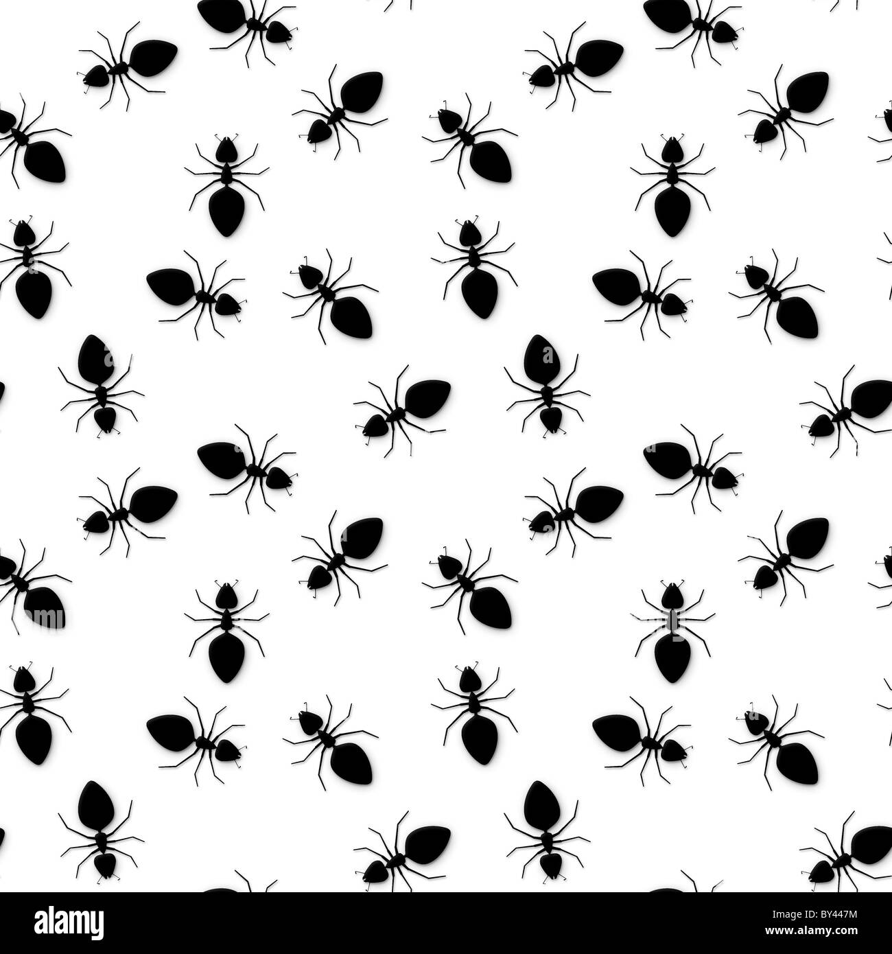 Seamless texture - silhouettes of ants on a white background Stock ...