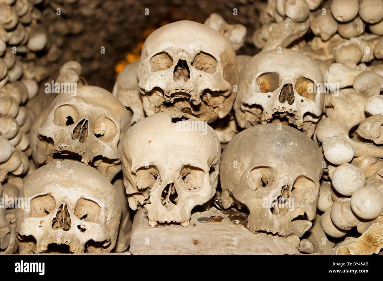 Six Human Skulls Stock Photo