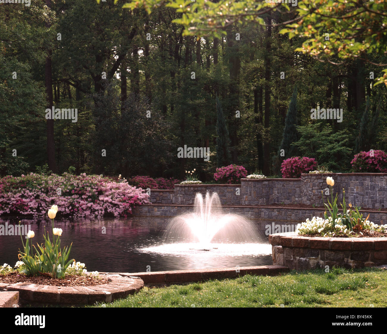 Norfolk Botanical Gardens Virginia Stock Photo 33898359 Alamy