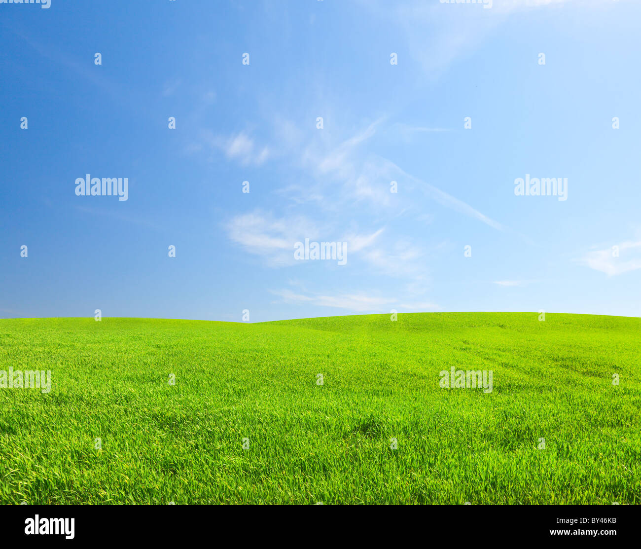 Green field under blue cloudy sky Stock Photo - Alamy