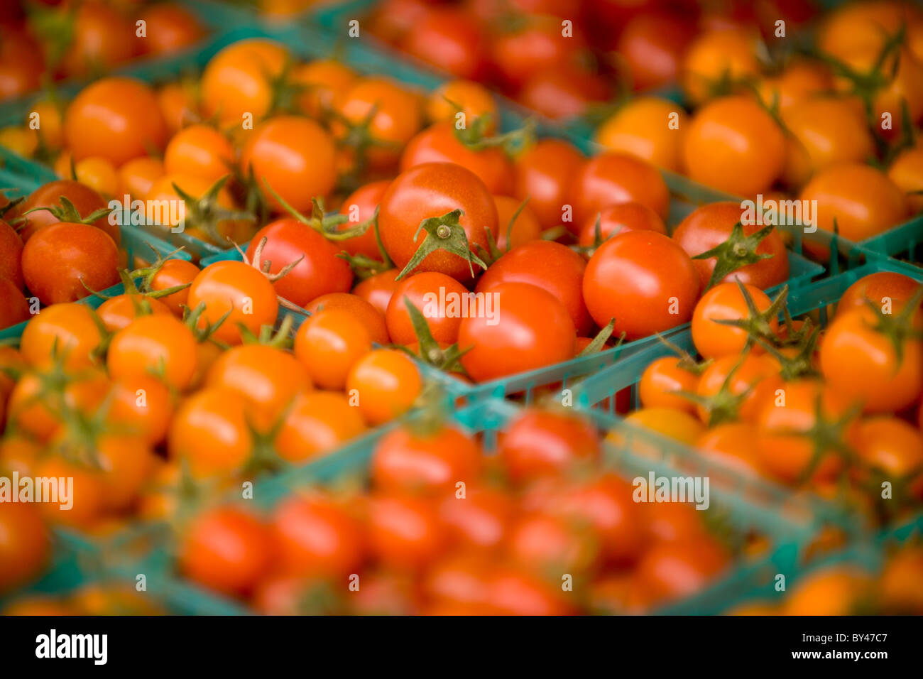 Cherry tomatoes, farmer's market, Santa Monica, California Stock Photo