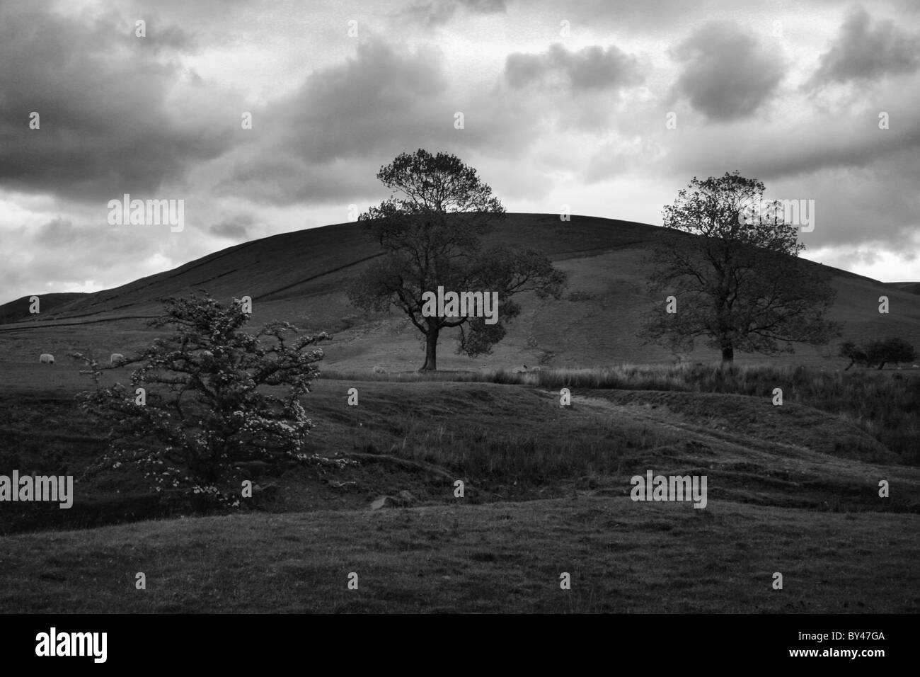 Pendle Hill Lancashire Stock Photo