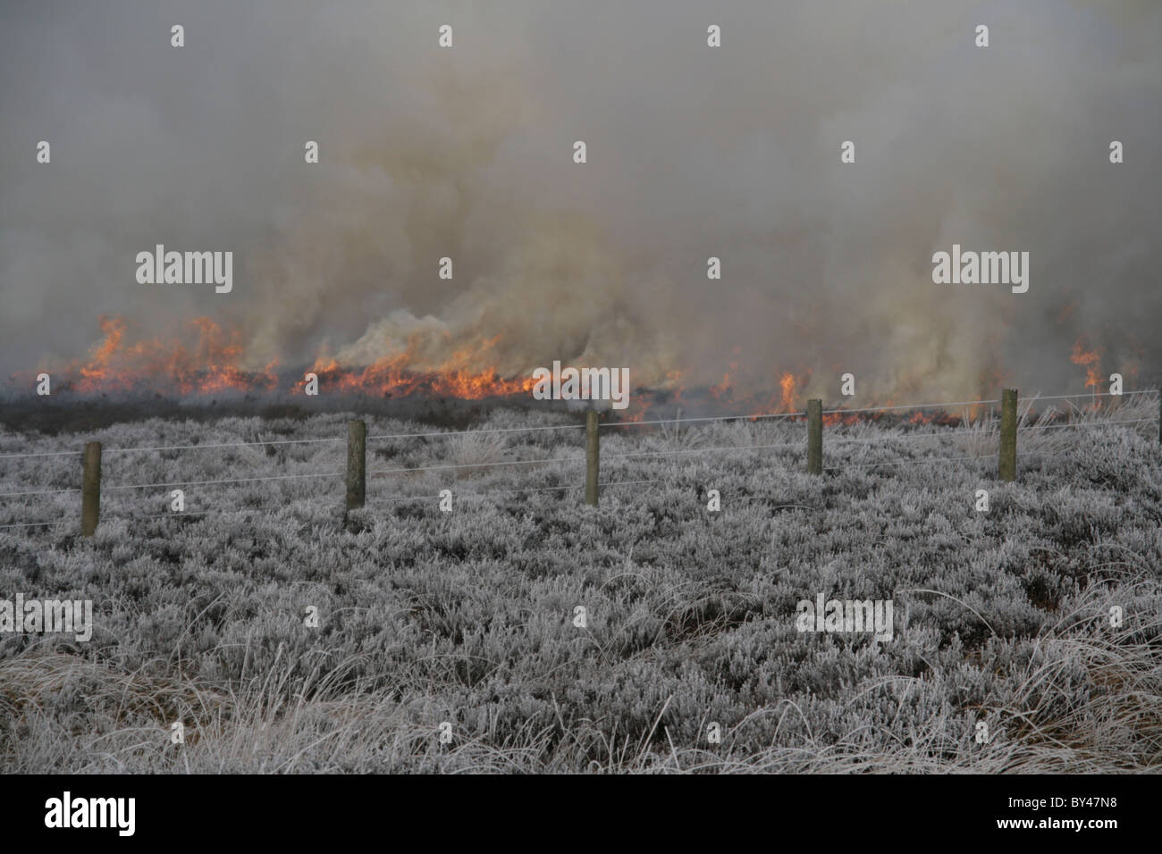 Winter heather burning Stock Photo