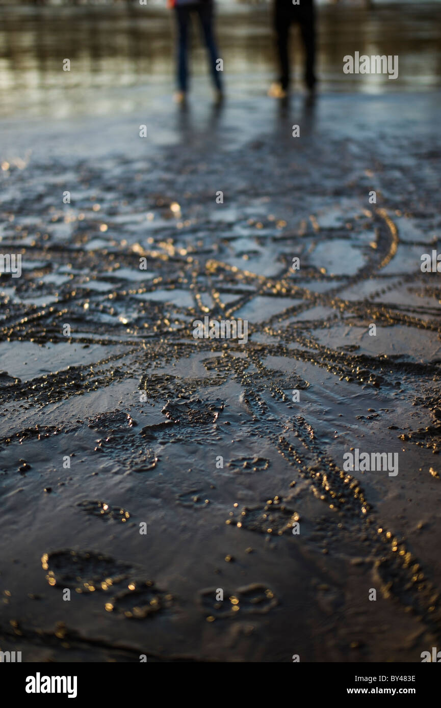 Sludge on the banks of the River Rhein after high water floods near Karlsruhe Germany Stock Photo