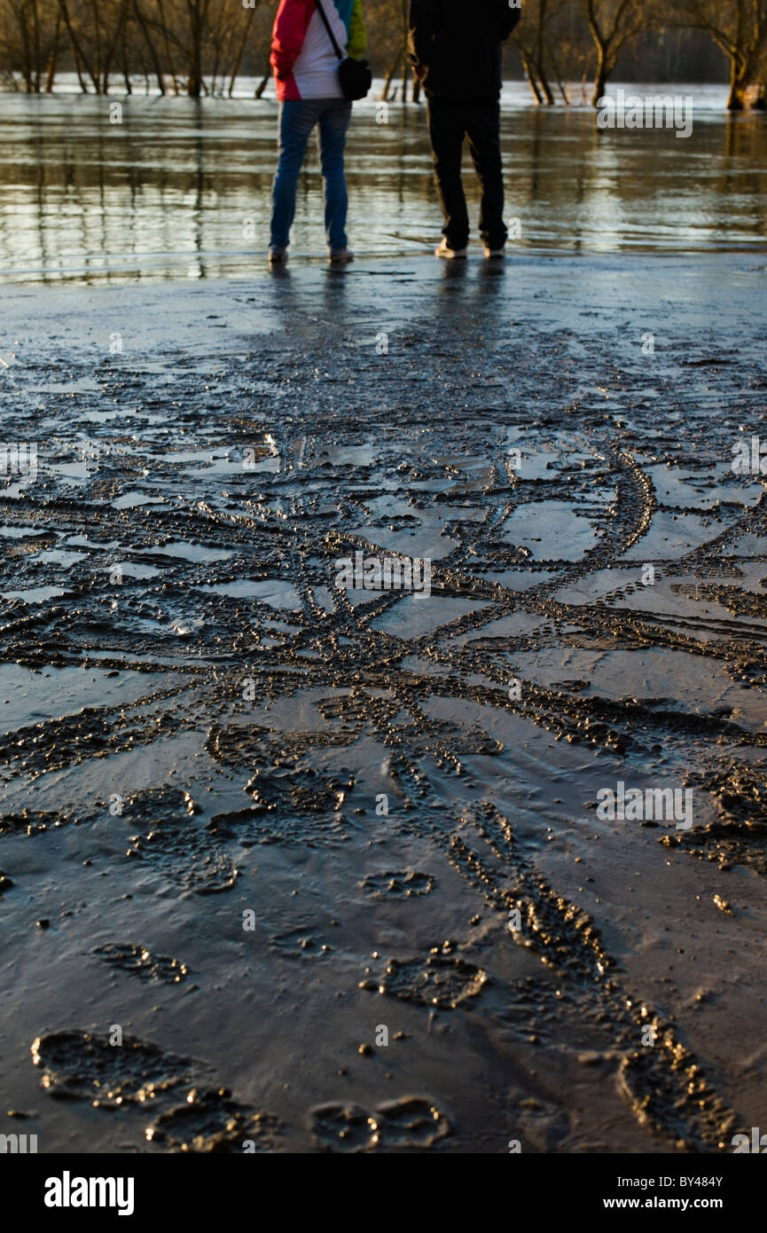 Sludge on the banks of the River Rhein after high water floods near Karlsruhe Germany Stock Photo