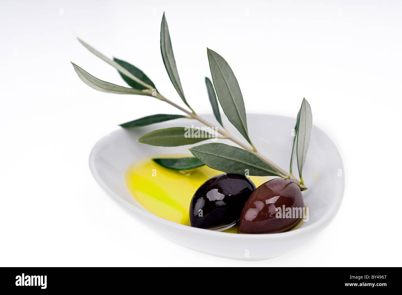 Plate with two black olives kalamon ( Kalamata) on branch and white background Stock Photo