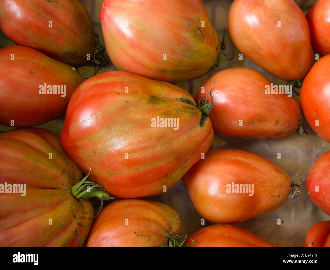 Oxheart tomatoes in the market, Cuneo, Italy Stock Photo