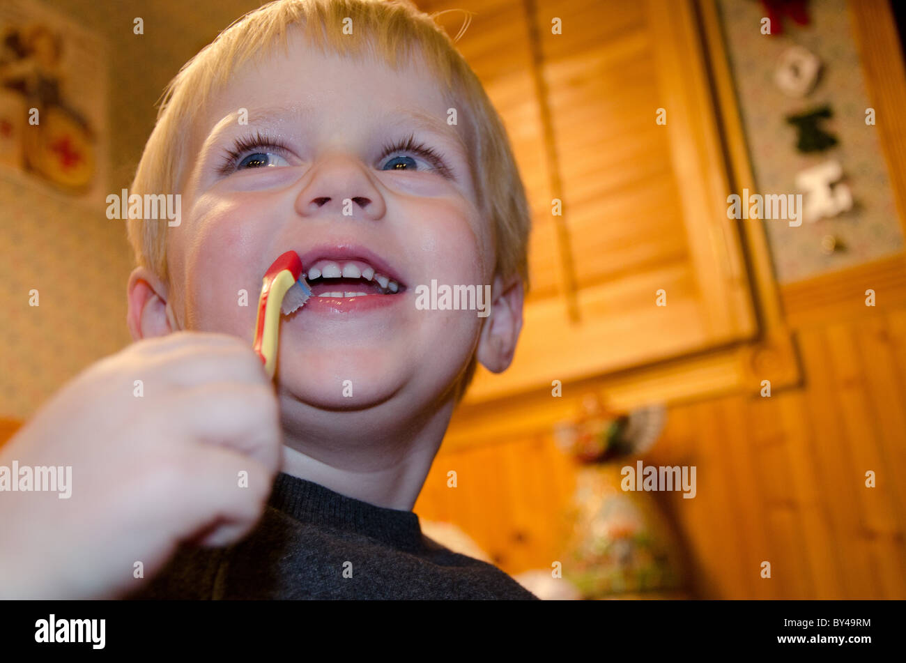 2 year old brush teeth