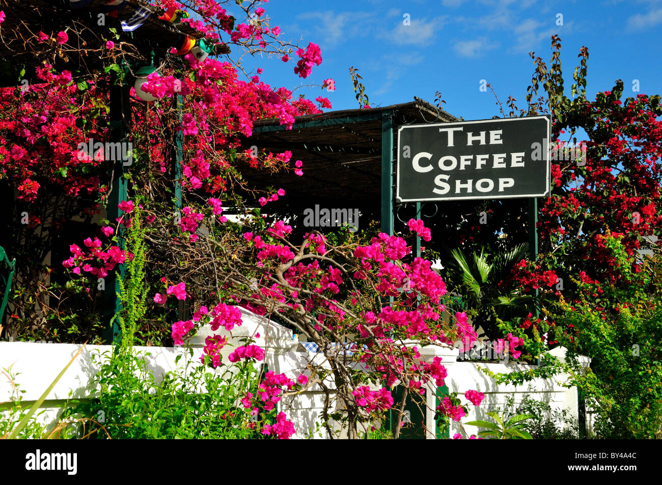 A flower laced outdoor coffee shop. Prince Albert, South Africa Stock Photo Alamy