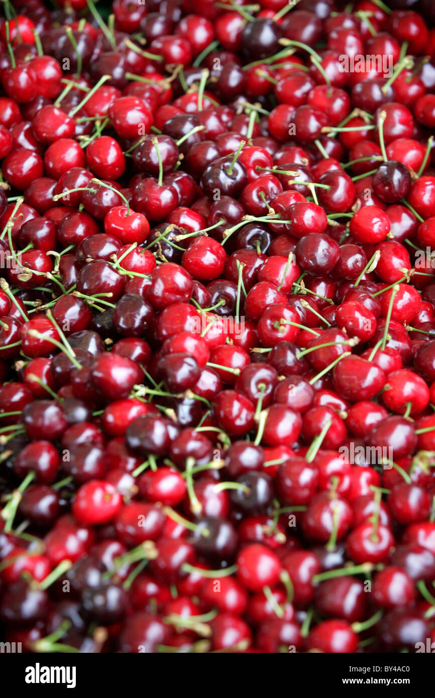 Cherries in French food market Stock Photo Alamy