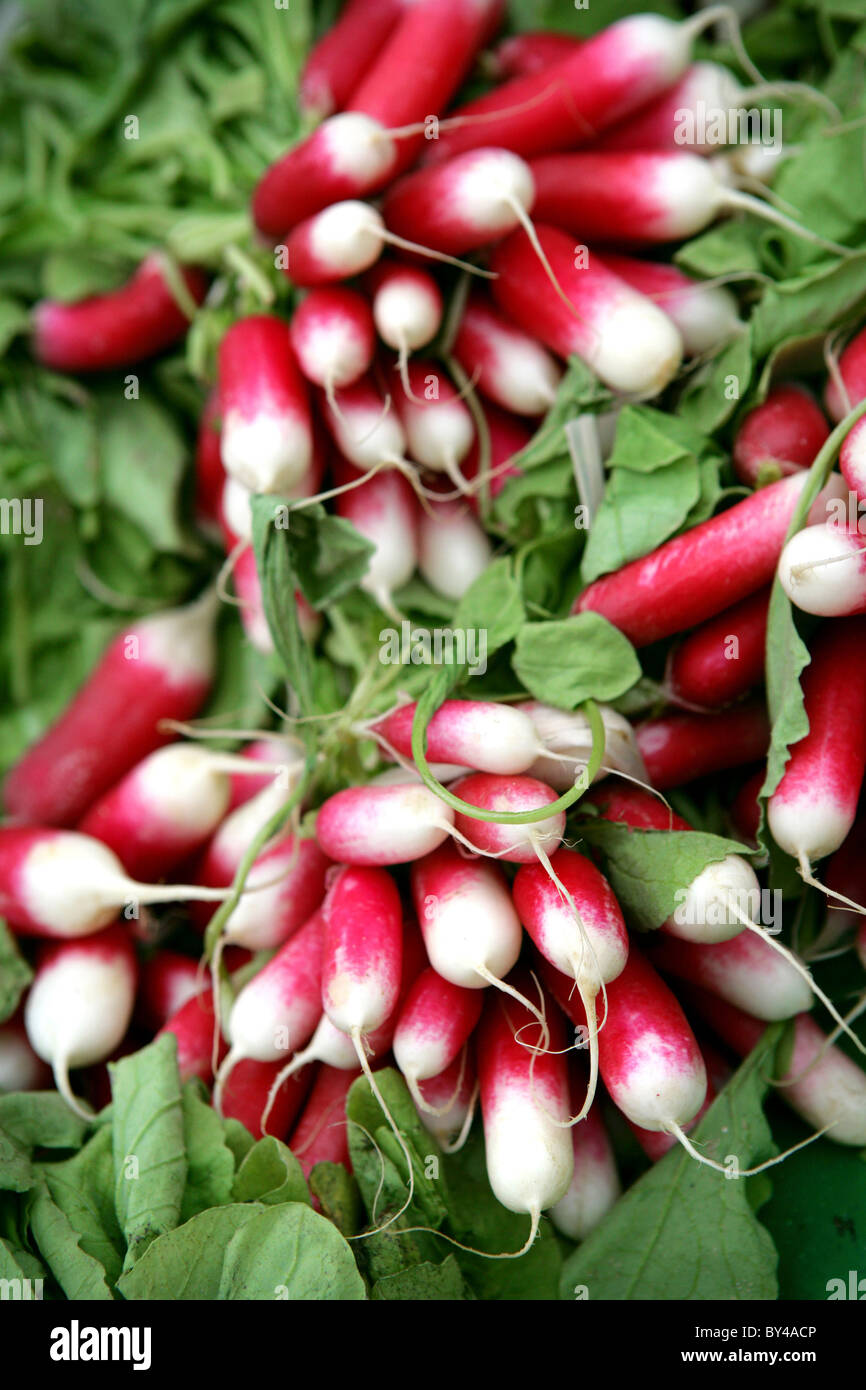 French Food Market Stock Photo Alamy