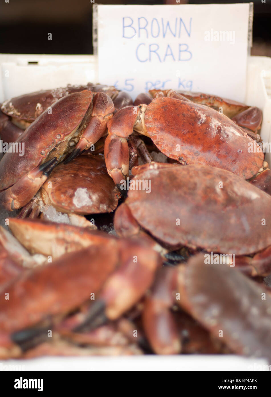 Brown crabs for sale at local market Stock Photo - Alamy