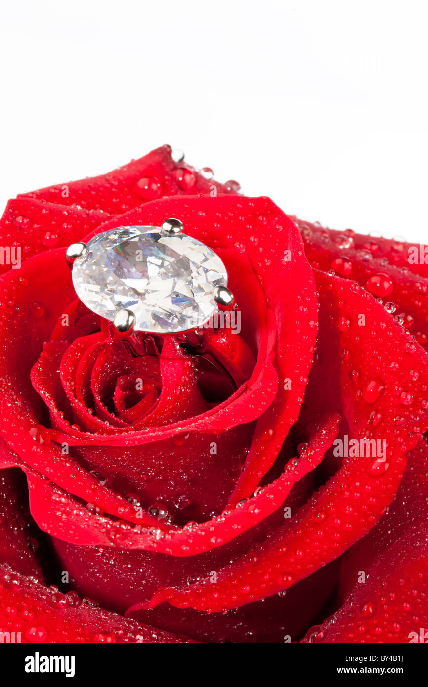 Sparkling Engagement Ring Inside Red Rose Romantic Gift For Valentines Day  Marriage Proposal Concept Stock Photo - Download Image Now - iStock