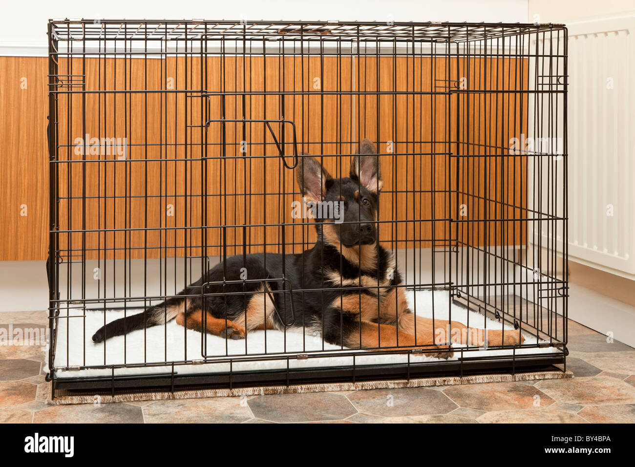 crate for german shepherd puppy