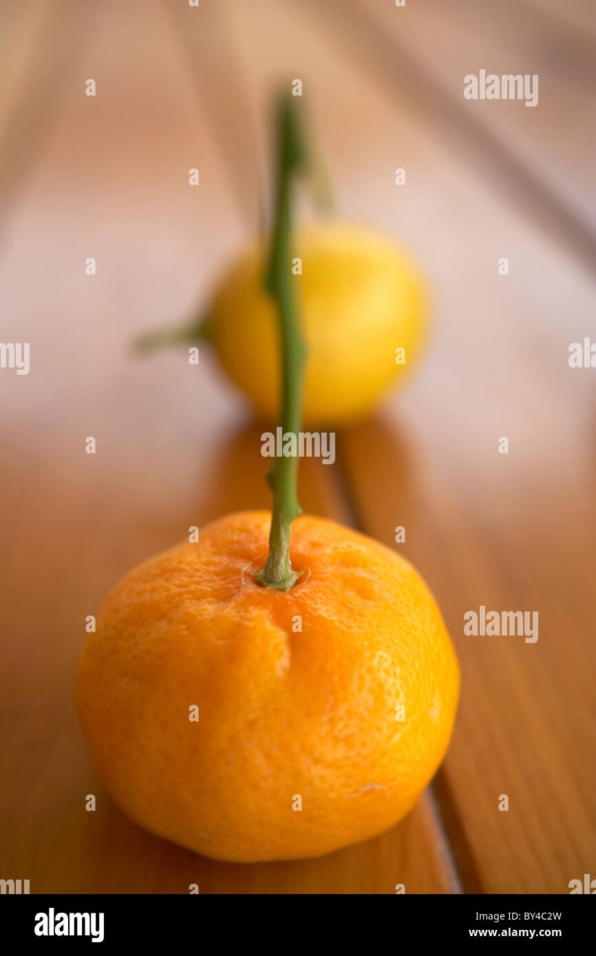 Satsuma and Lemon Stock Photo Alamy
