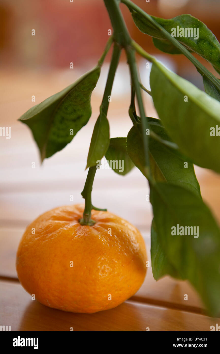 Satsuma fruit hires stock photography and images Alamy