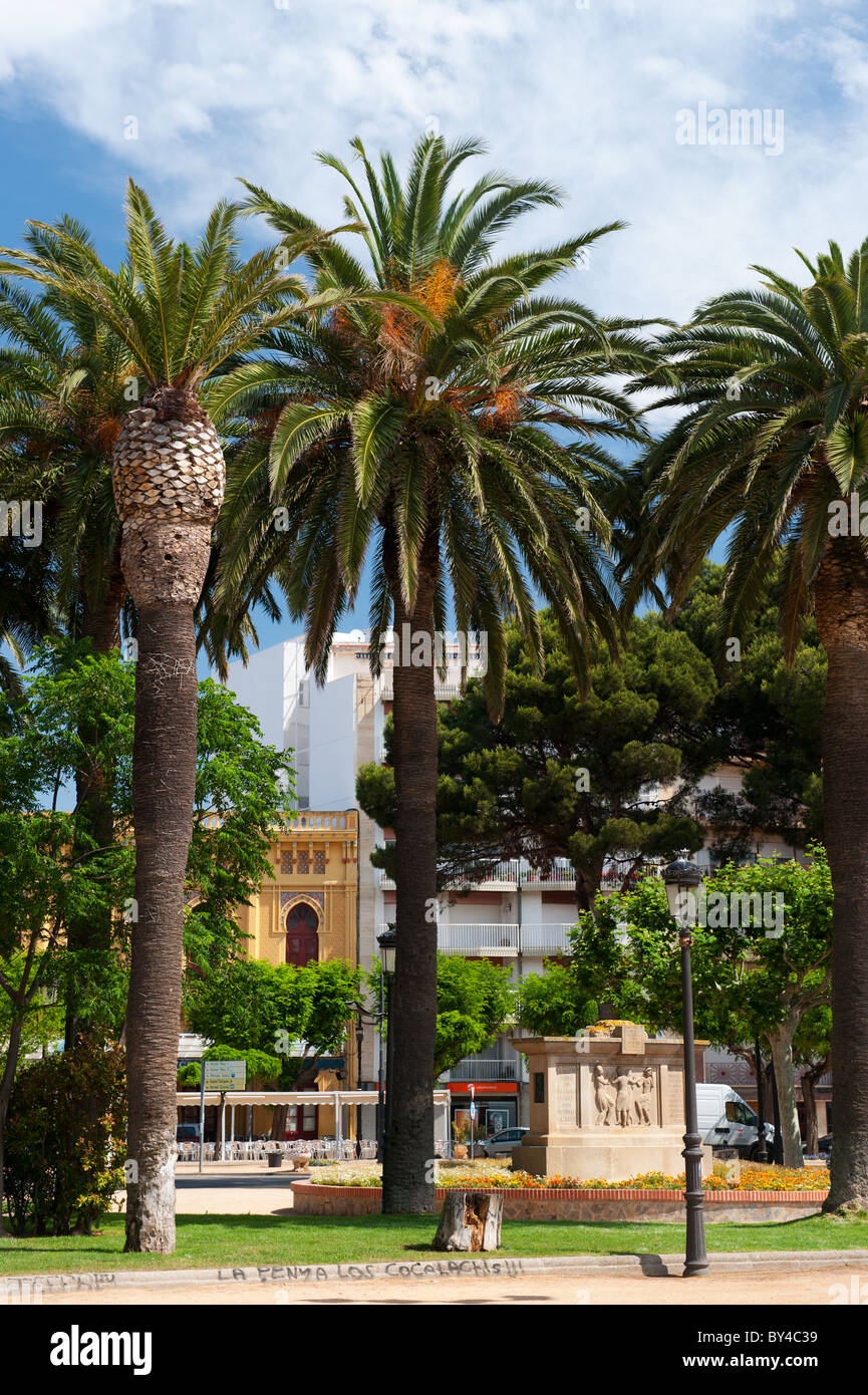 Palm trees in Spanish San Feliu de Gouxols Stock Photo Alamy