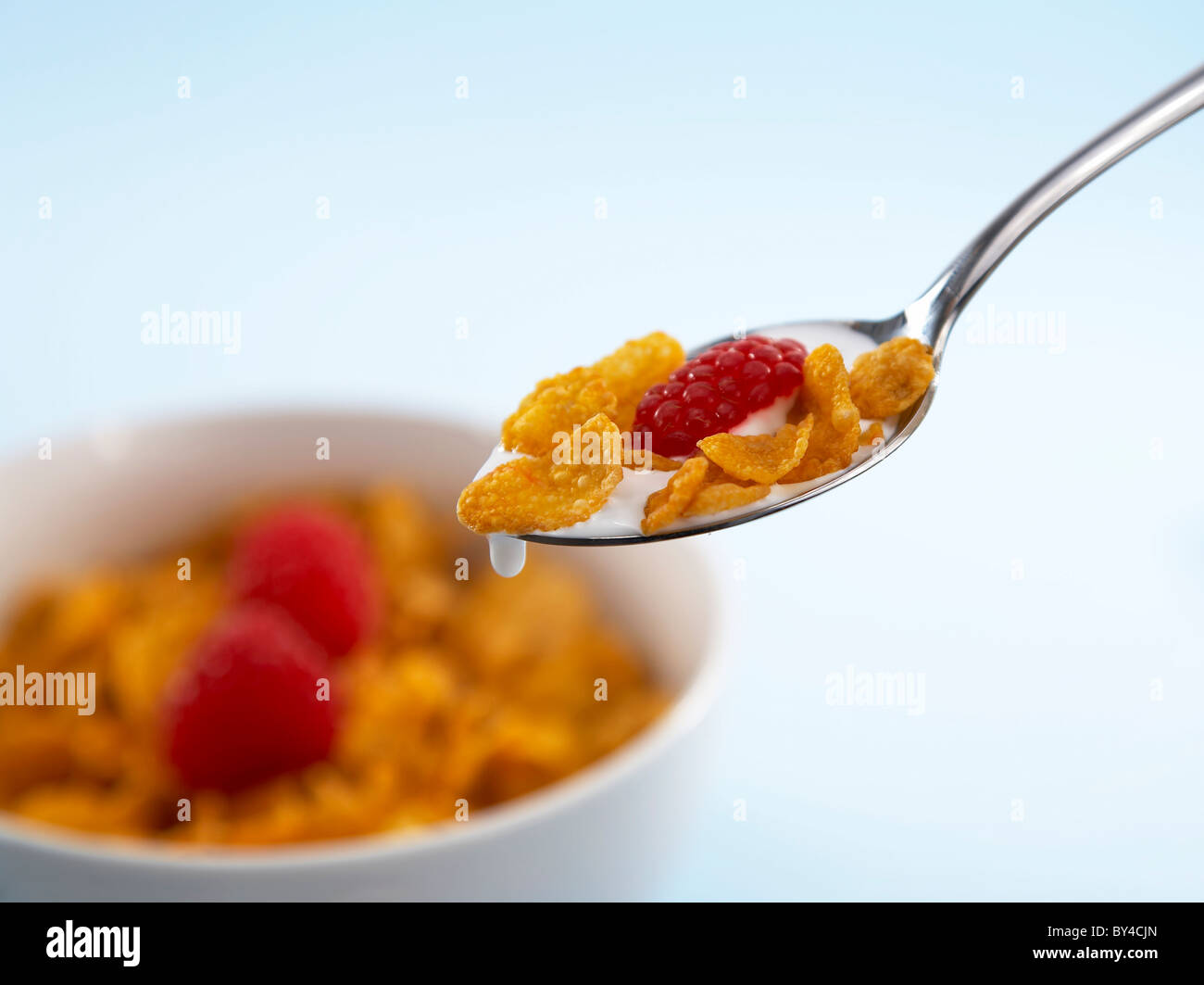 Spoonful breakfast Cereal with Raspberries Stock Photo