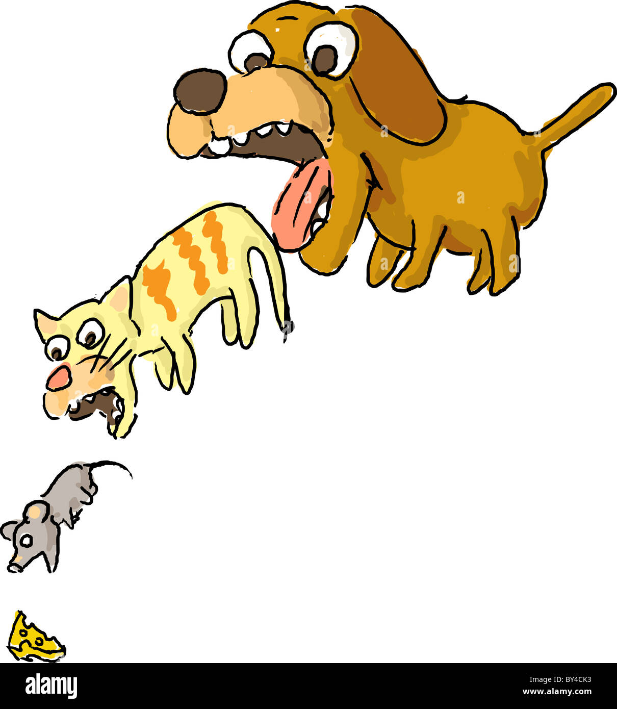 Circle of life animals