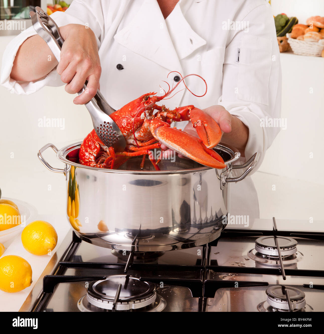 CHEF COOKING LOBSTER Stock Photo