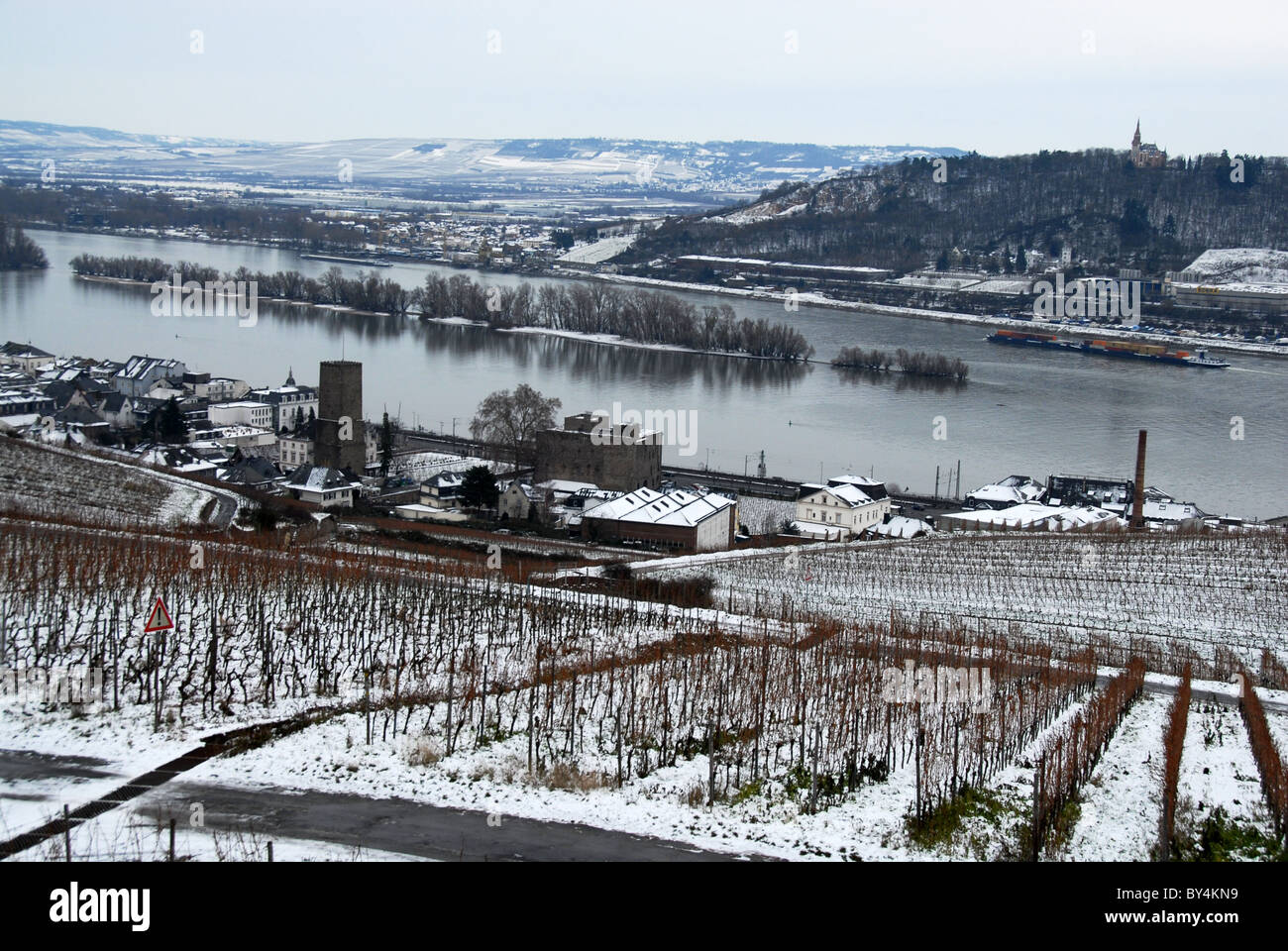 Vignards in Winter above Rüdesheim an the Rhine river, Germany Stock Photo