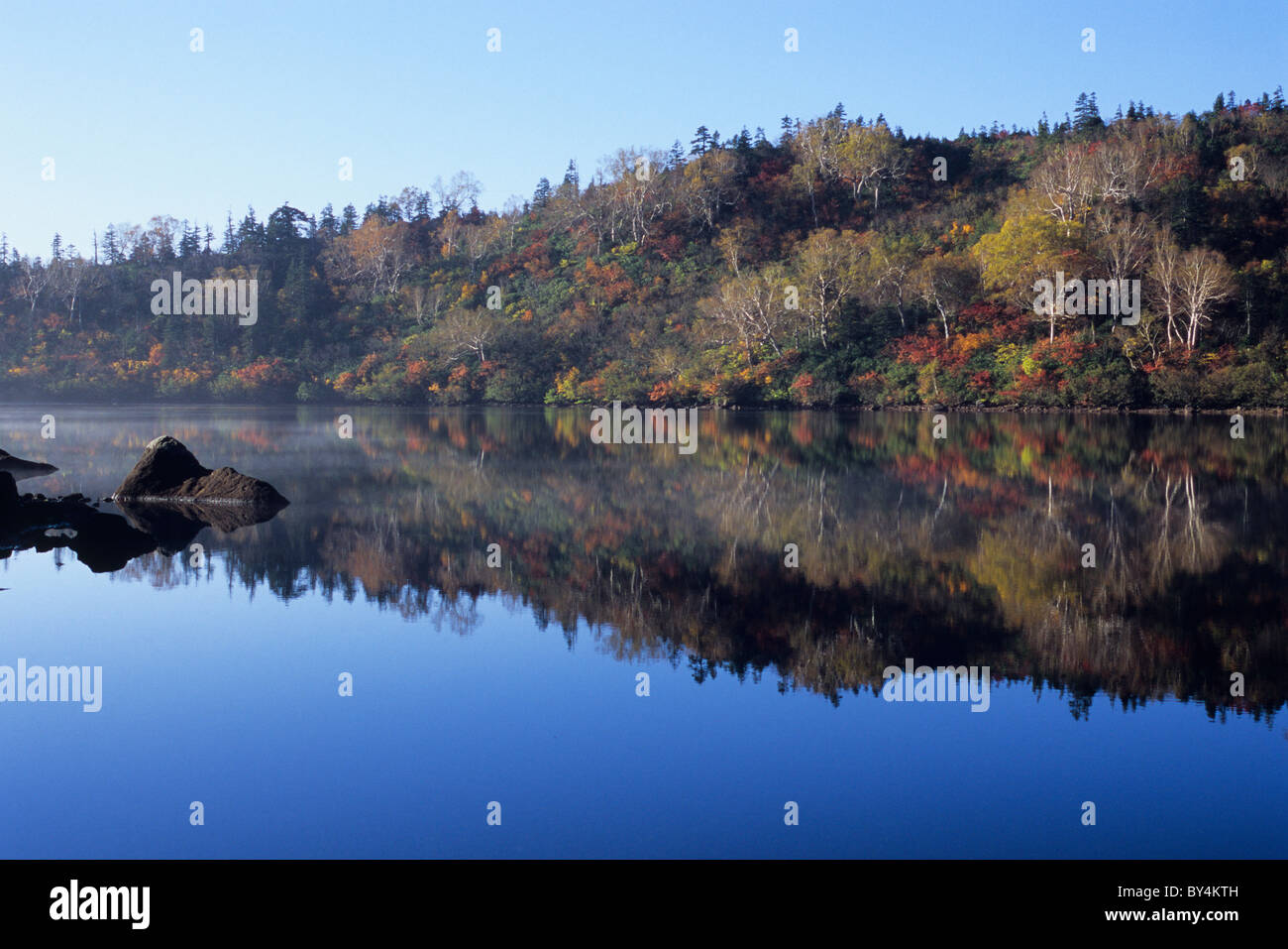 Autumnal Trees Reflected in Lake Stock Photo - Alamy