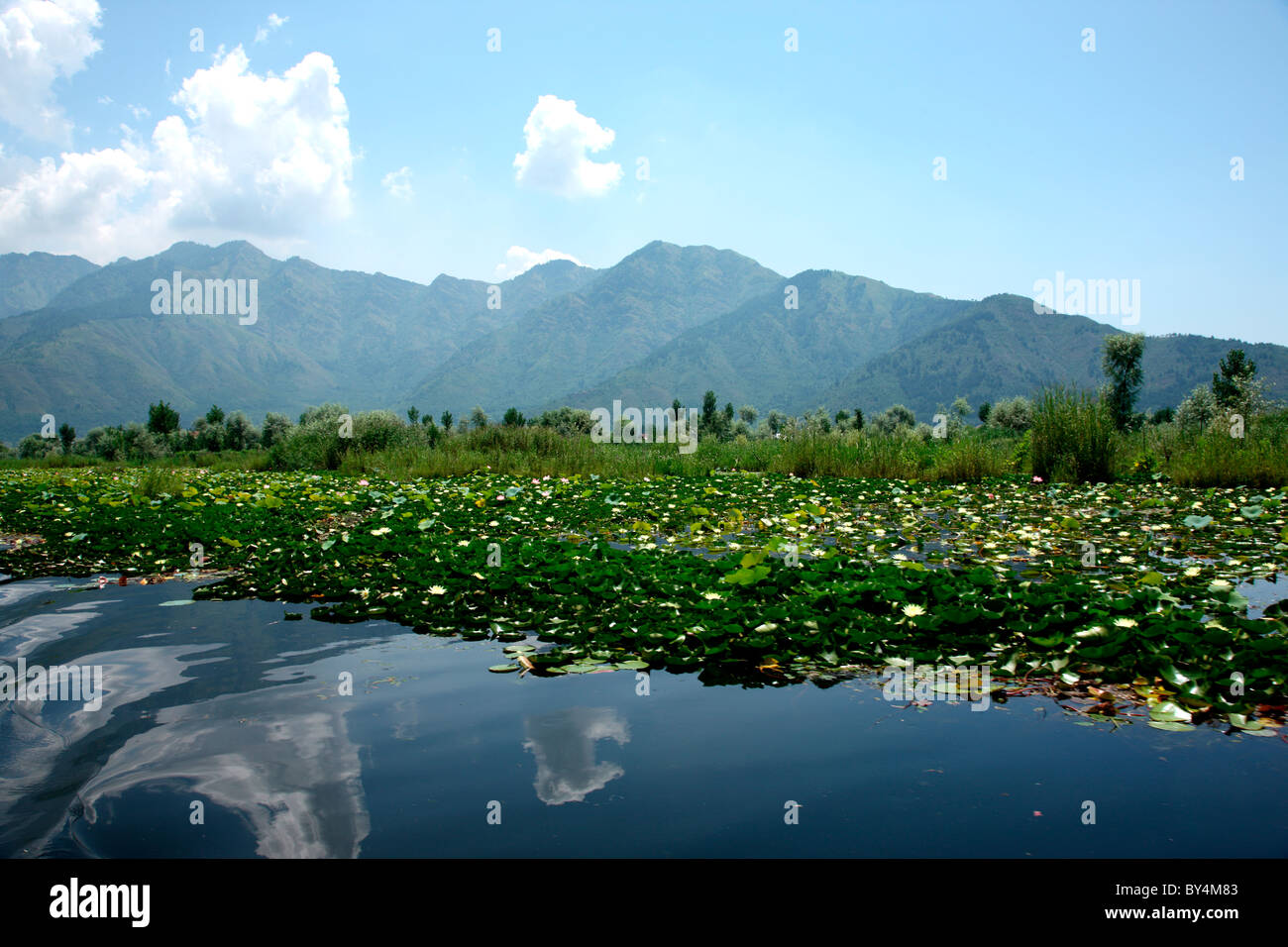 Dal Lake in Srinagar, Jammu and Kashmir, india Stock Photo