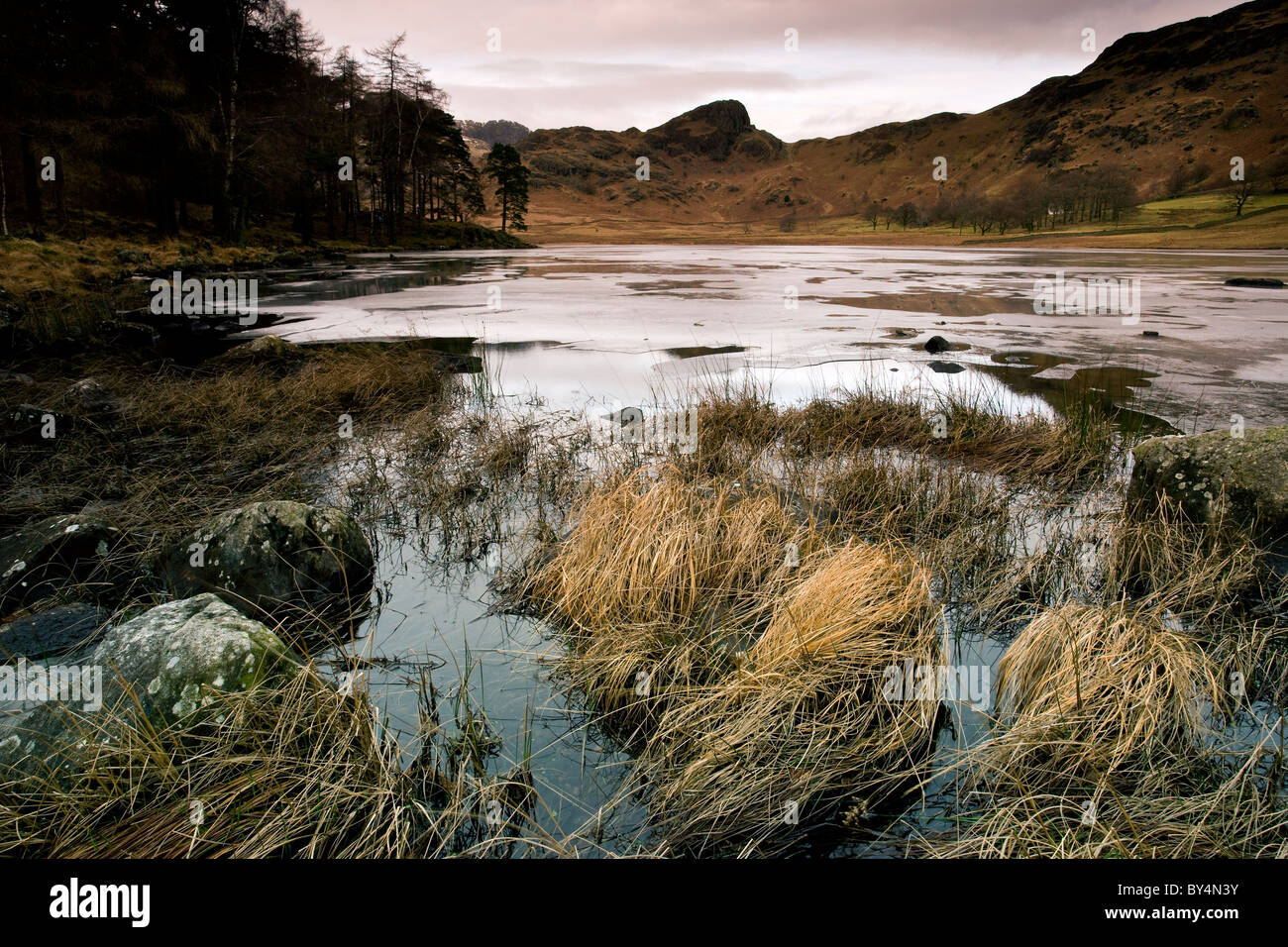 Blea Tarn, Great Langdale, Lake District, England Stock Photo Alamy