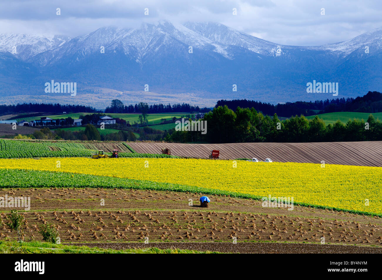 Fields Near Mountains Stock Photo Alamy