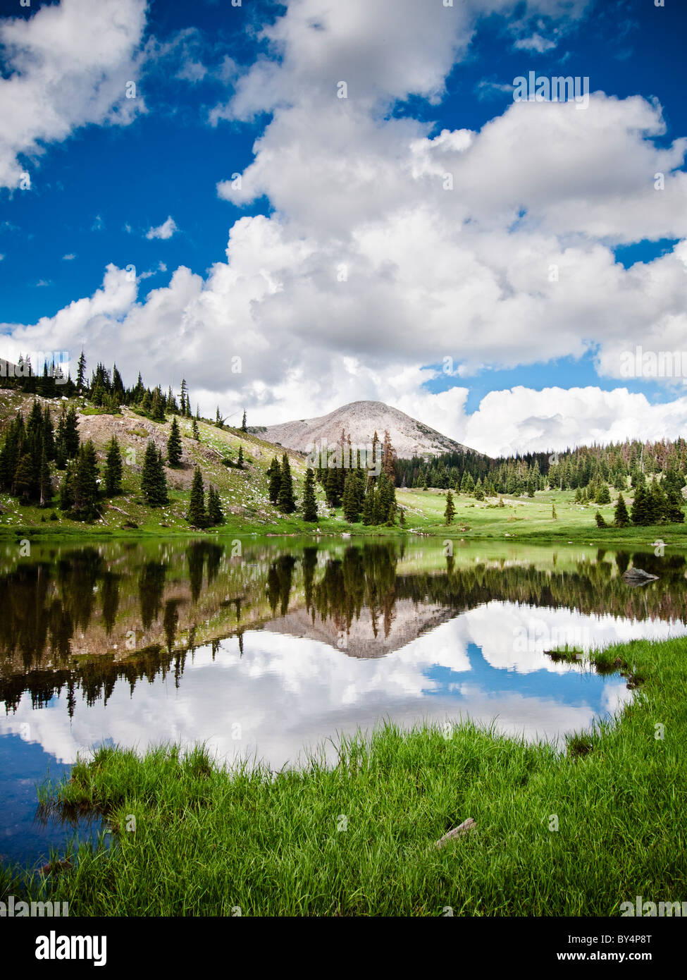 Medicine Bow Mountain national forest, A Wyoming national park Stock