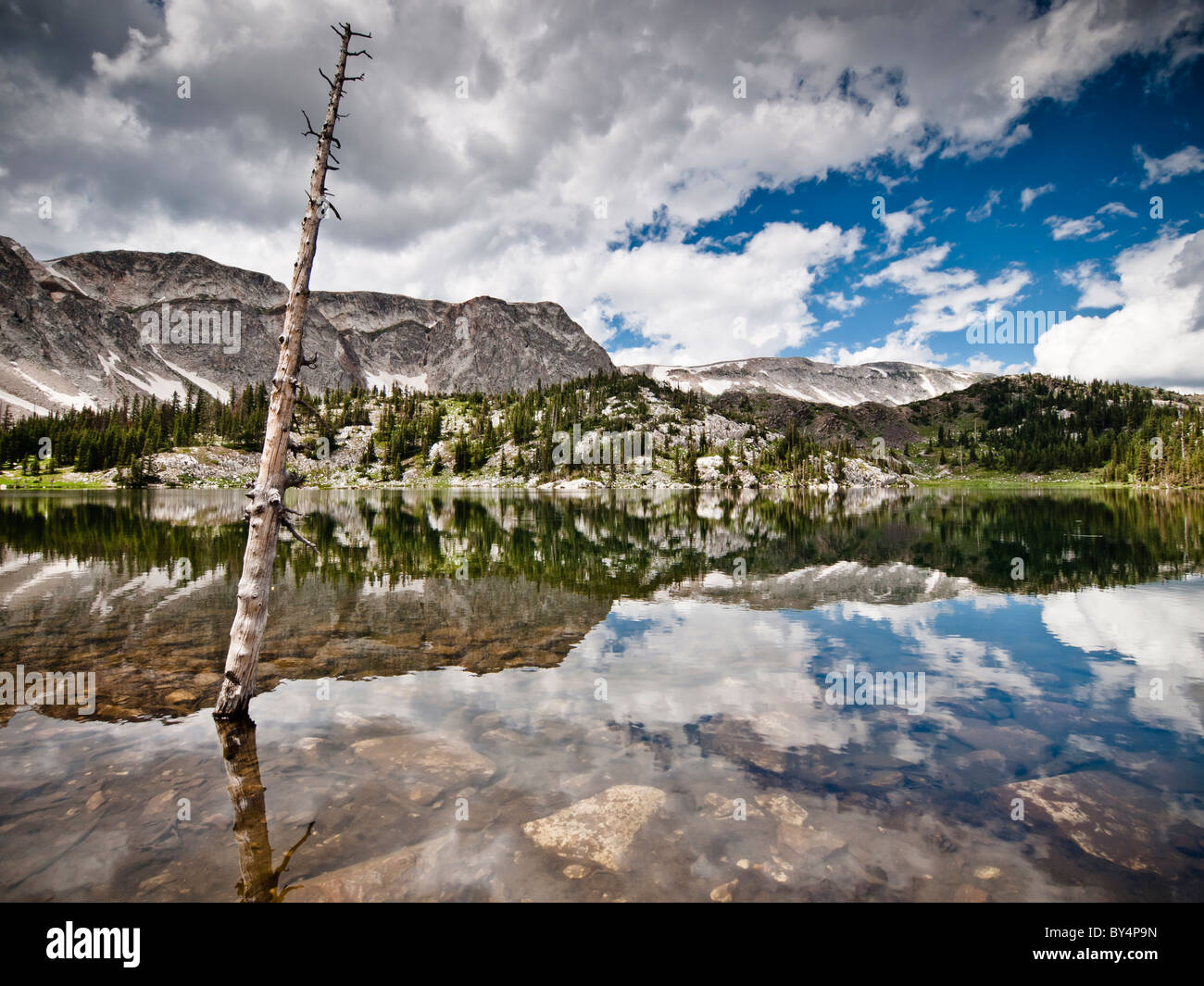 medicine bow national forest wyoming