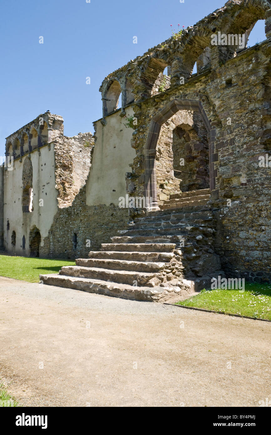 Ruins of Bishop's Palace at St Davids, Pembrokeshire Stock Photo