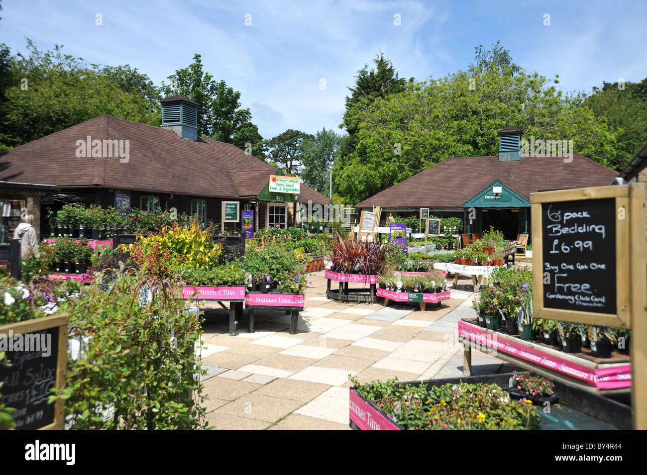 Garden centre shrubs and bedding plants area UK Stock Photo Alamy