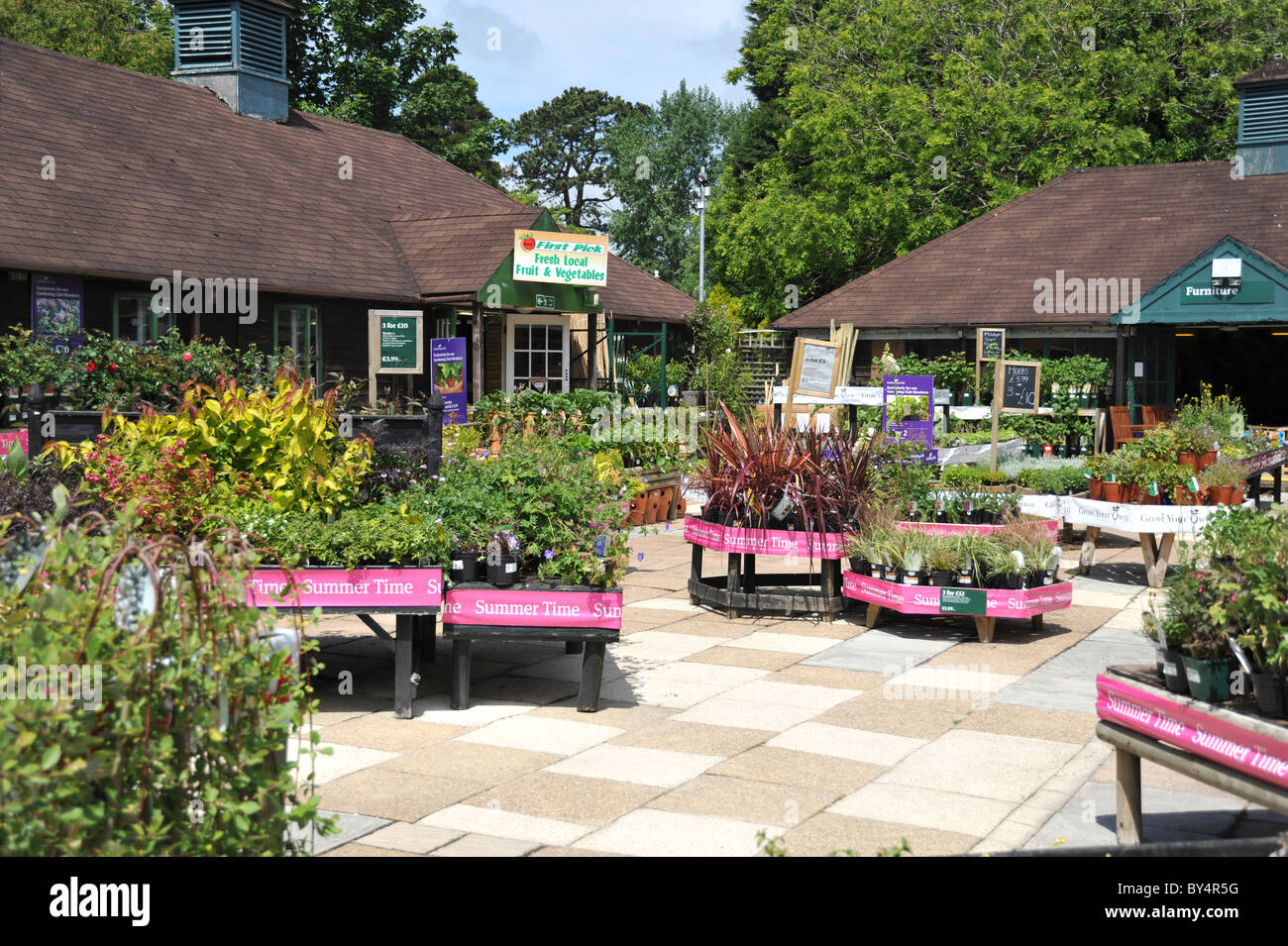 Bedding plants hires stock photography and images Alamy
