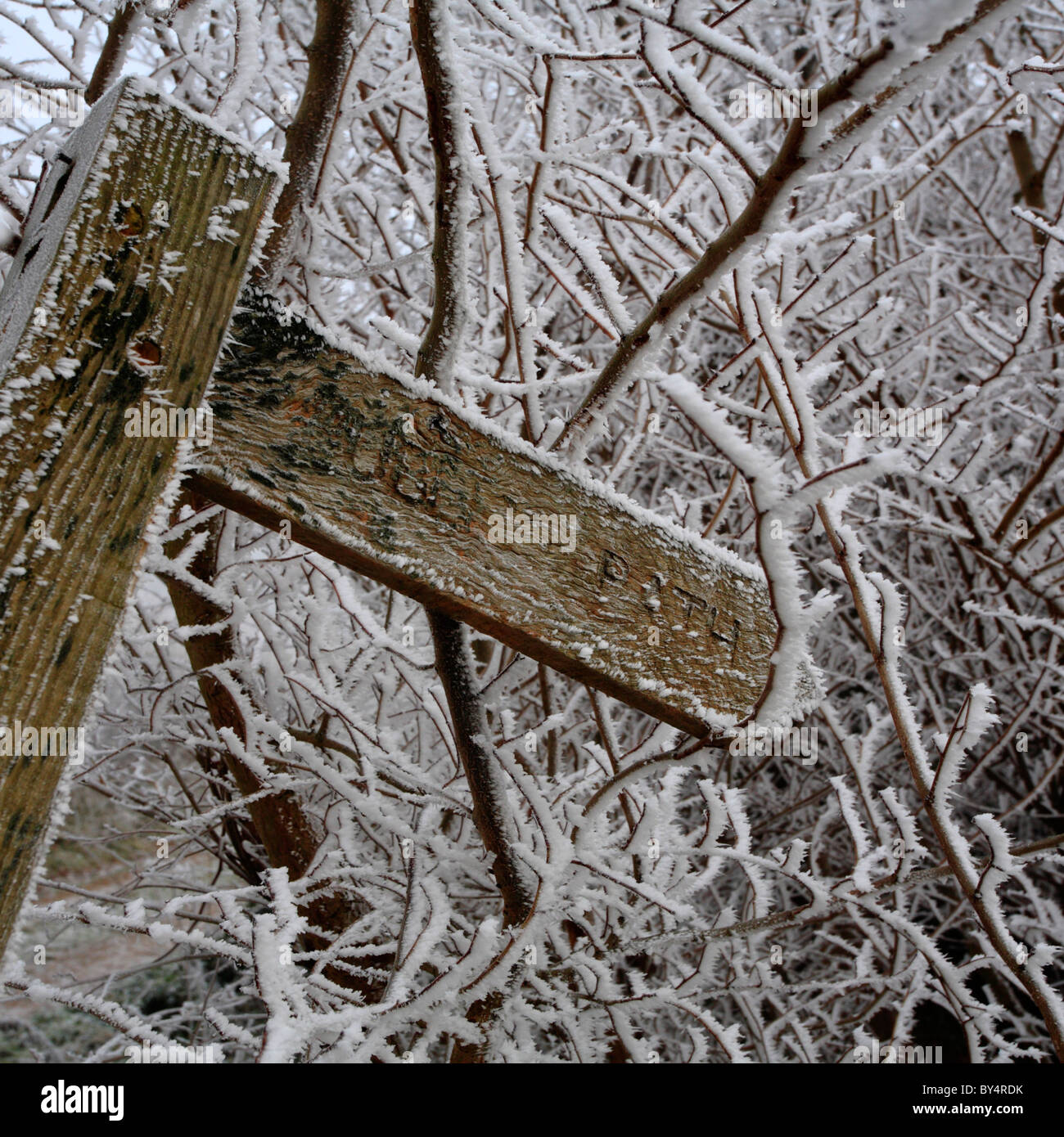 Public footpath signpost covered in frost. Stock Photo