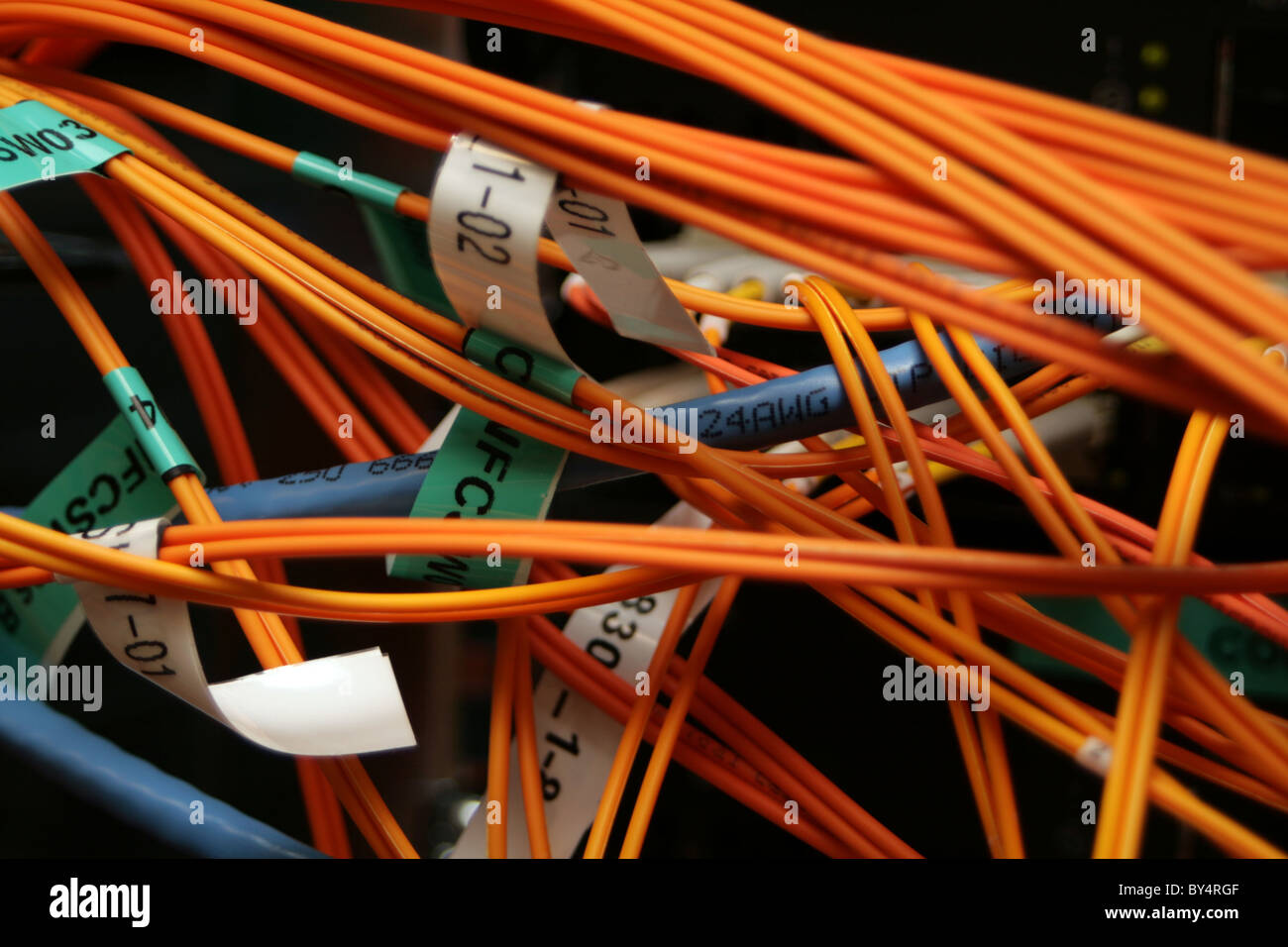 Fibre optic and CAT6 cables Stock Photo Alamy