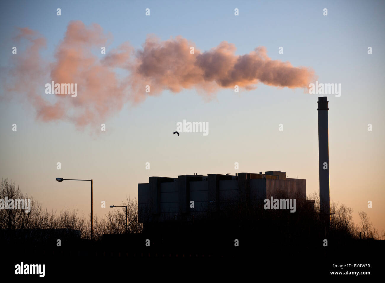 A Heron bird flies over a paper recycling plant belching out steam from it's chimney, Birmingham, UK. Stock Photo